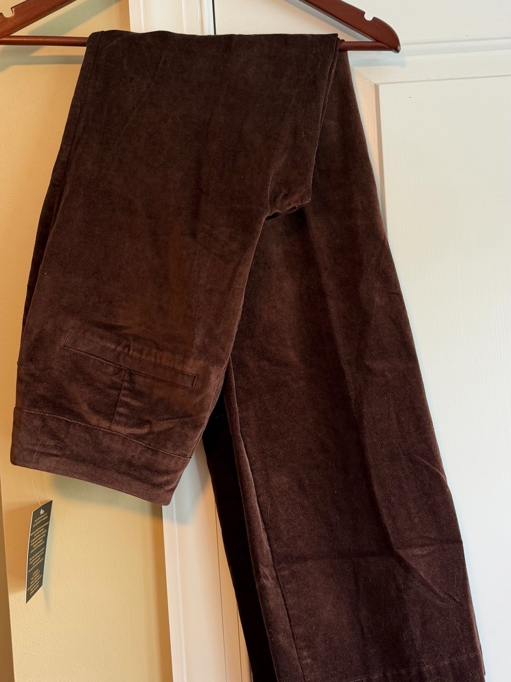 DG2 Stretch velvet pull-on Womenβs Pants